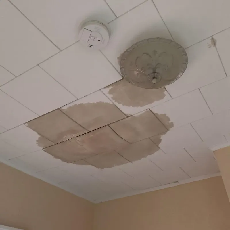 Ceiling Water Damage Repair in Bartholomew County, IN