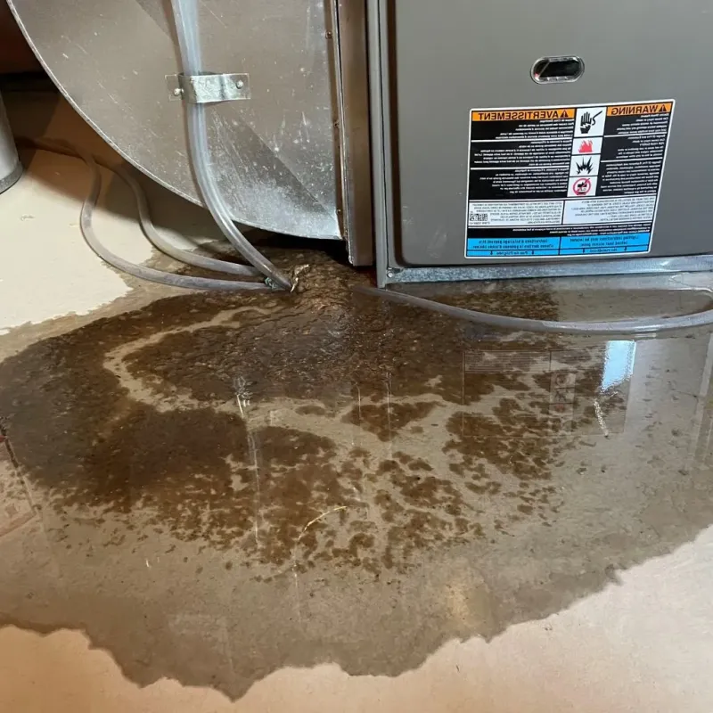 Pipe Burst and Leak Restoration in Bartholomew County, IN