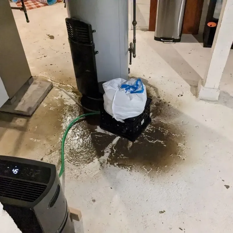 Sewage Backup Cleanup Service in Bartholomew County, IN